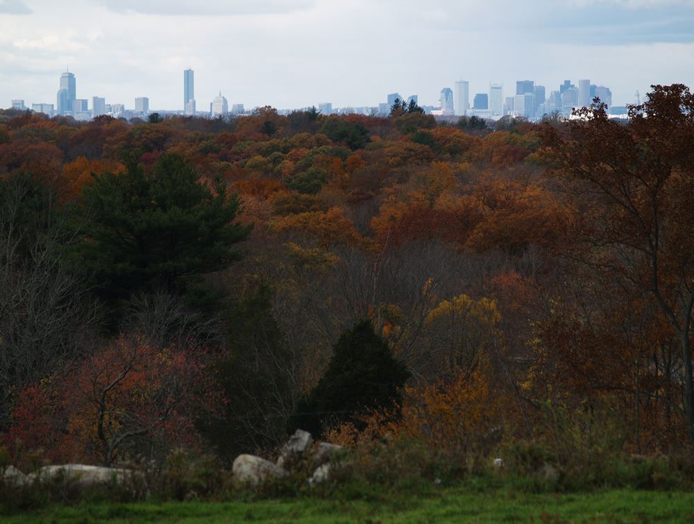 View of downtown Boston from Weir River Farm